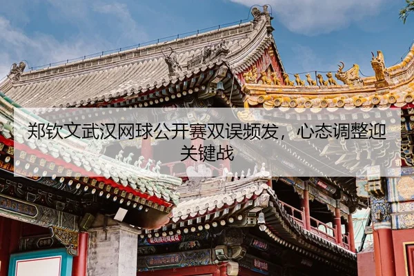 zheng-qin-wen-wu-han-wang-qiu-gong-kai-sai-shuang-wu-pin-fa-xin-tai-tiao-zheng-ying-guan-jian-zhan-3-314.jpg